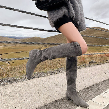 SUEDE WESTERN KNEE HIGH BOOTS